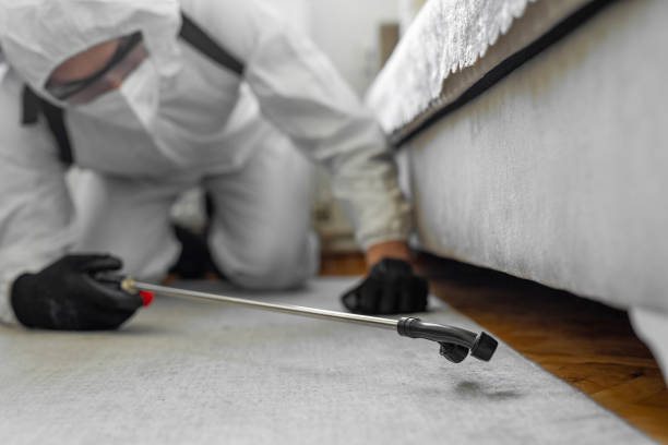 Professional Bed Bug Control technician working in Davenport, IA