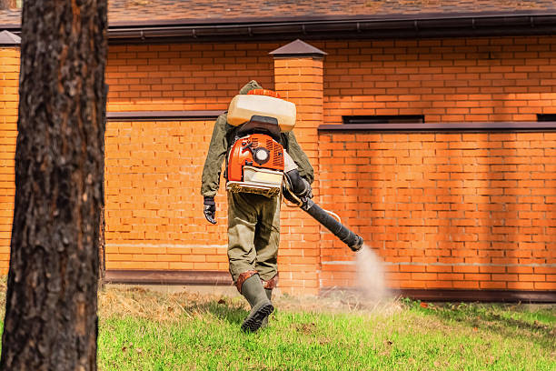 Trusted Termite Control service in Davenport, IA - Nex Pest Control